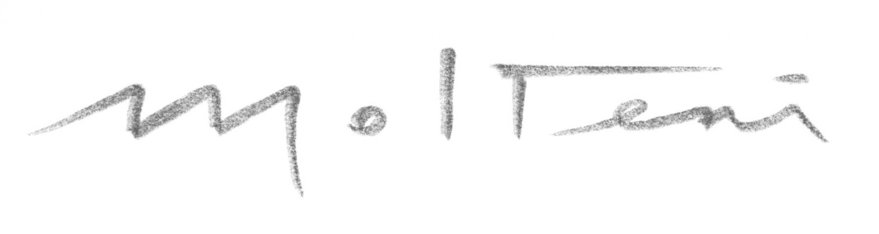 David Molteni Signature