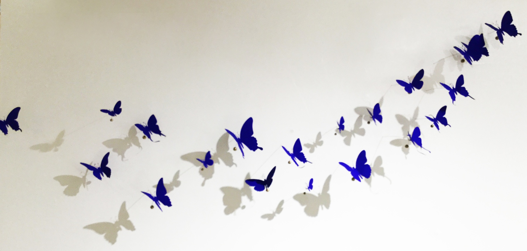 Butterflies 2 Sets