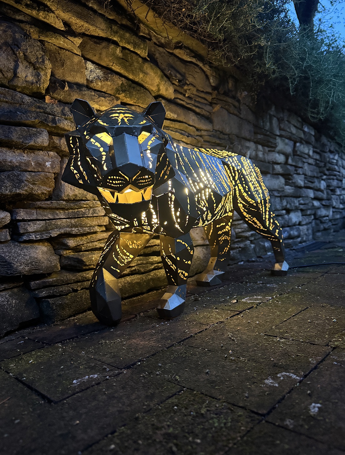 Tiger by Martin Taylor