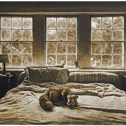 God Dreams in Sleeping Foxes by Brian Taylor