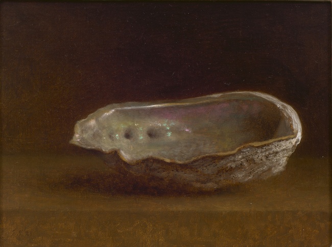 Abalone Shell by Jonathan Koch